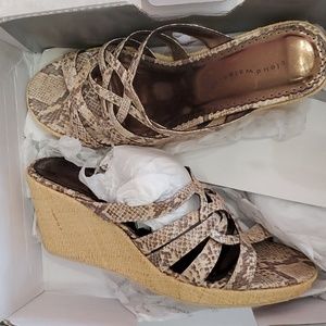 NIB Trinity Espedrilles by Cloudwalkers